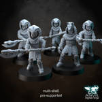 Picture of Digital - Astral Kingdom Warriors (Full Bundle)