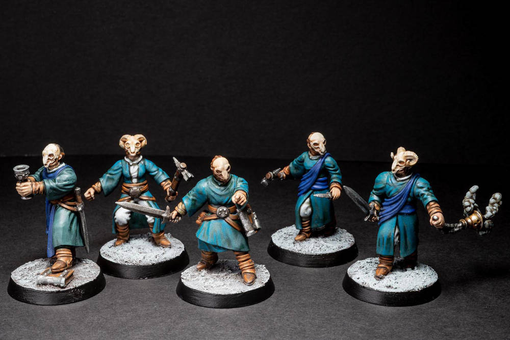 Frostgrave Robed Cultist Thugs Painted